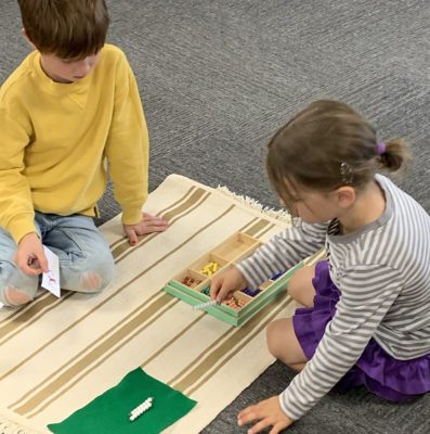 Students engaging in a Montessori botany activity, identifying plant parts.