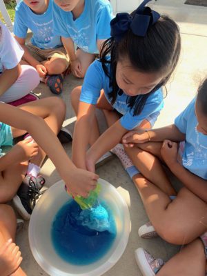 Students exploring nature with Montessori outdoor education practices.