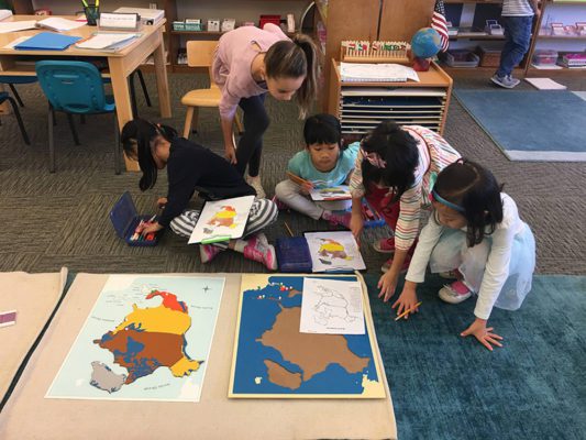 Montessori math work with number rods, focusing on understanding quantity and number relationships.